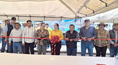 Tradición ganadera en Catazajá