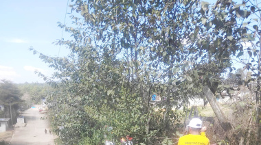 PC refuerza acciones preventivas por frentes fríos