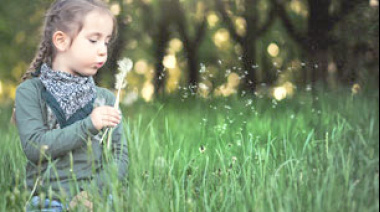 Día Mundial de la Educación Ambiental