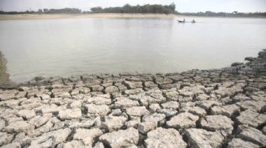 Chiapas pierde 60% de sus bosques