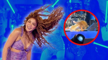 Shakira sufre aparatosa caída en el escenario