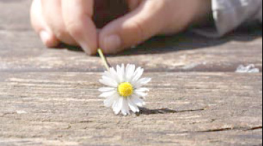 Día de los Amores Imposibles