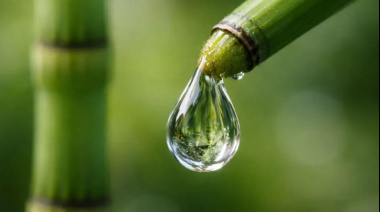 Planta de 400 millones produce agua única