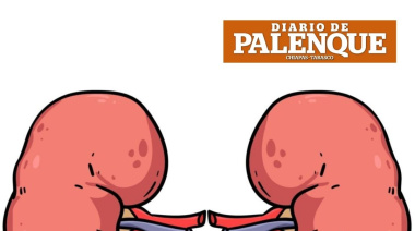 Día Mundial del Riñón
