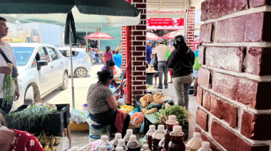 Altas temperaturas en el Mercado Guadalupe de Palenque