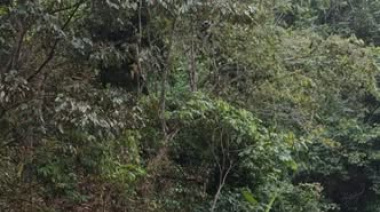 Ocosingo prepara Las Lajas para Semana Santa