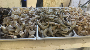 Afecta baja demanda a pescaderos