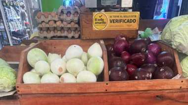 Variaciones en canasta básica golpean a familias en Palenque