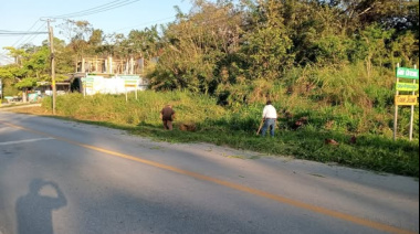 Mantienen limpio acceso a zona arqueológica