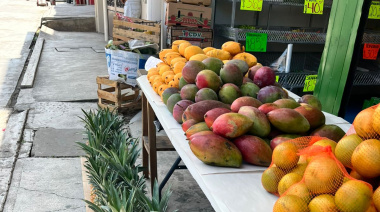 Frutas de primavera llenan de color y sabor a Palenque