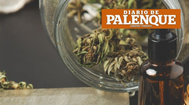 Día Mundial de la Marihuana