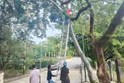 Mantenimiento ha alumbrado público en Palenque