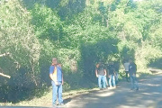 Sujetos agreden a turistas en Cascadas de Agua Azul