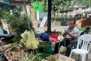 Comerciantes fortalecen tradición del Domingo de Ramos