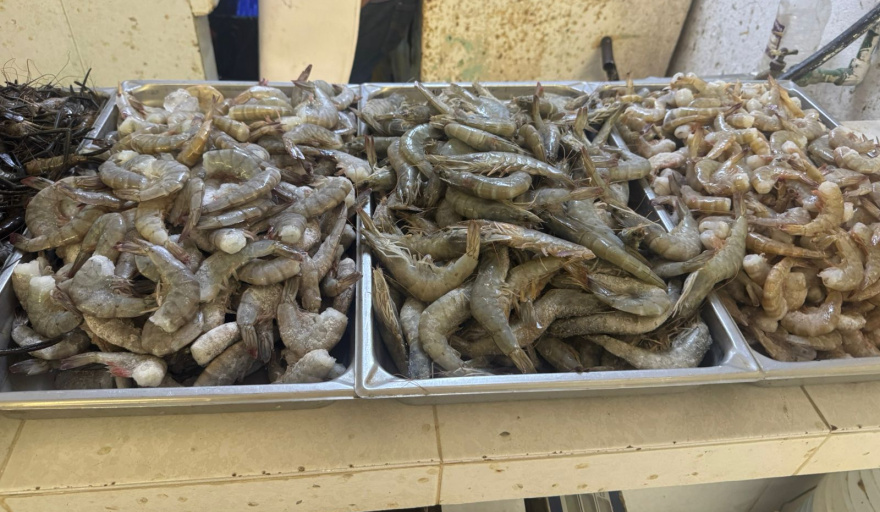 Afecta baja demanda a pescaderos