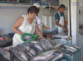  Mantienen los precios