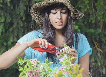  Cuida tu jardín