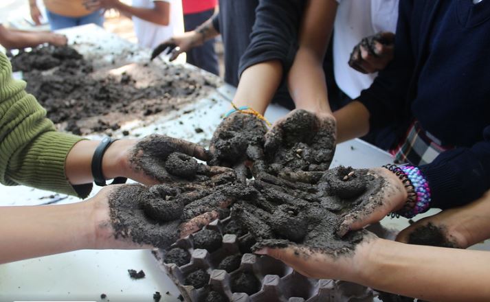  “Bombas de semillas” para reforestar Chiapas