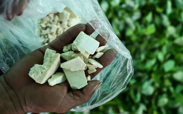  Producción de cocaína en Colombia aumentó un 53%