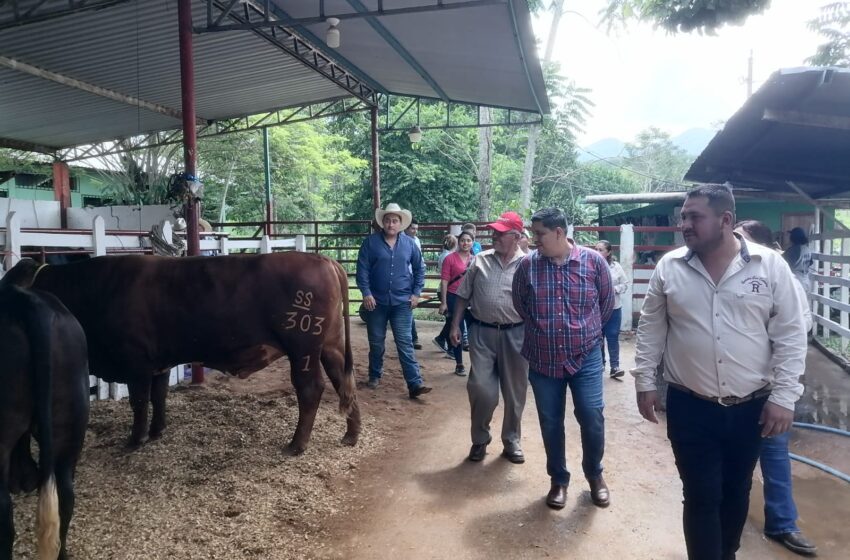  Inauguran 2do Tianguis Ganadero en el rancho San Catarino